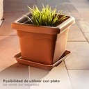 Maceta cuadrada Terra 220mm Marrón