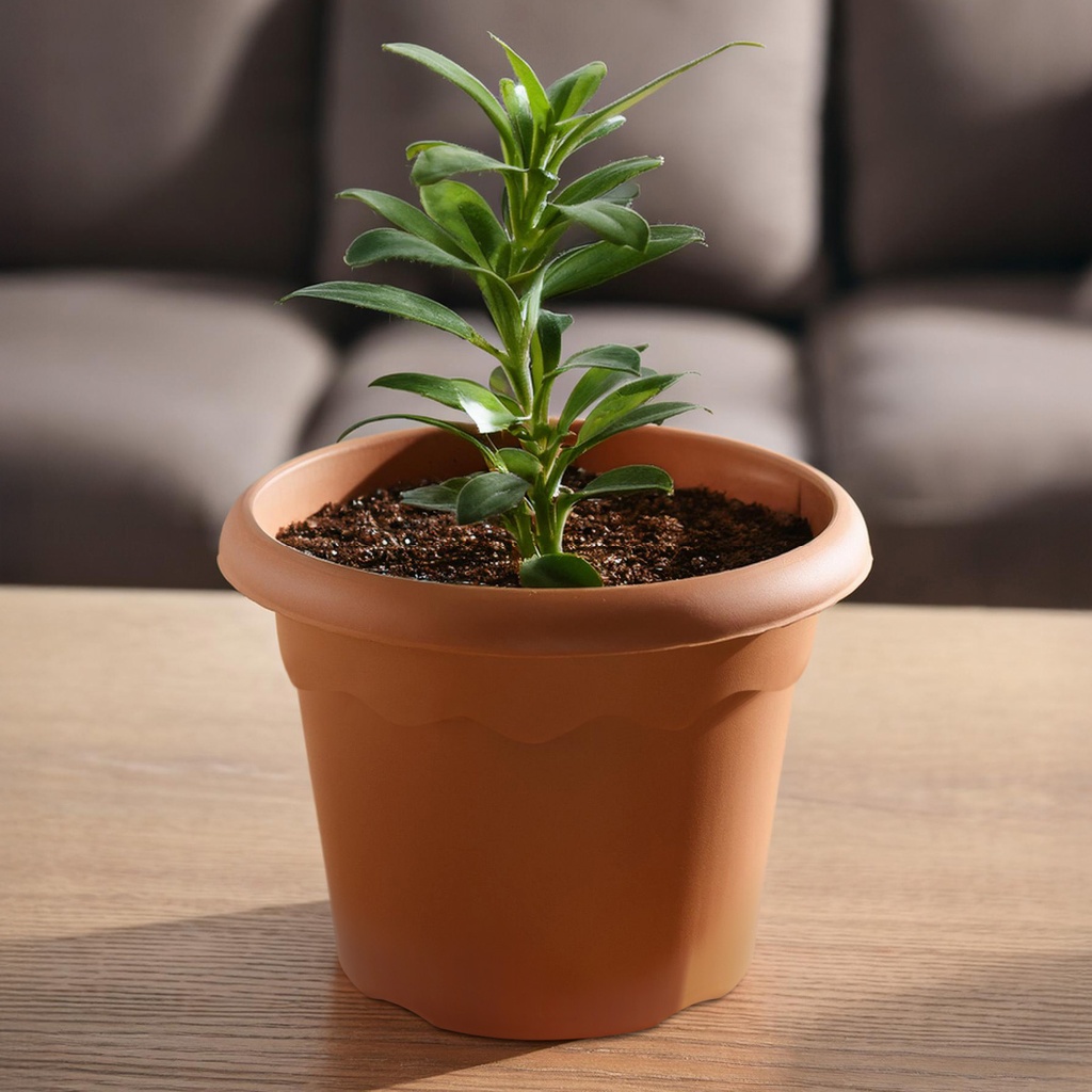 Maceta redonda Terra Ø520mm Marrón