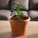 Maceta redonda Terra Ø520mm Marrón