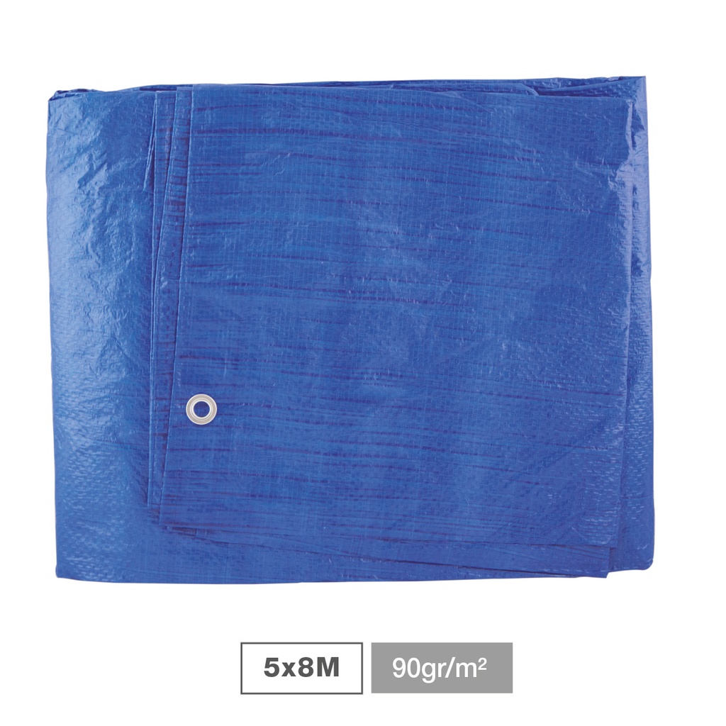 Toldo 90gr 5x8M Azul